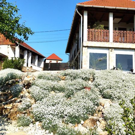 Tokaj Hill Panorama Guesthouse Szerencs Dış mekan fotoğraf