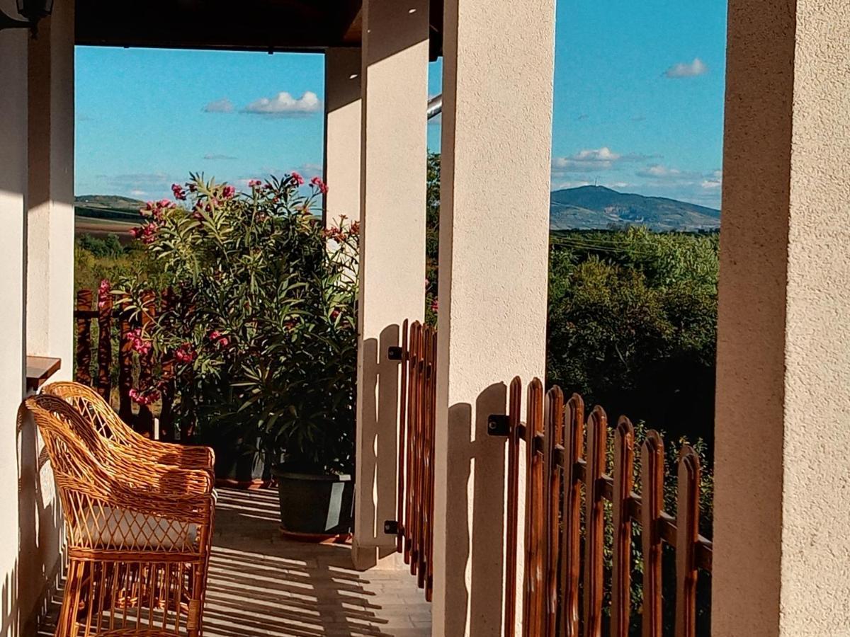Tokaj Hill Panorama Guesthouse Szerencs Dış mekan fotoğraf