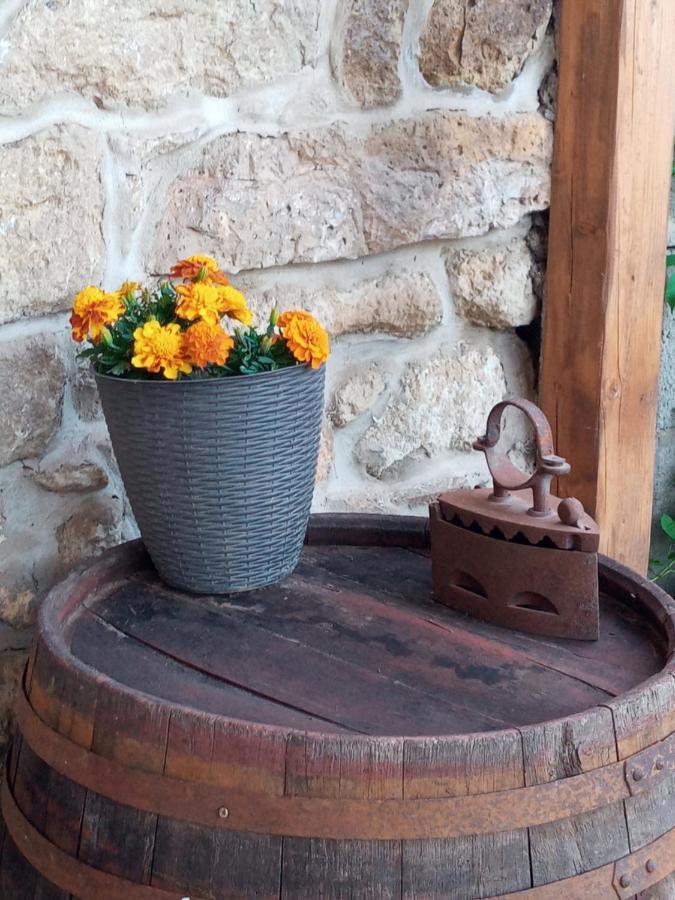 Tokaj Hill Panorama Guesthouse Szerencs Dış mekan fotoğraf