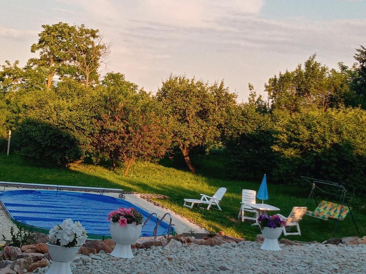 Tokaj Hill Panorama Guesthouse Szerencs Dış mekan fotoğraf