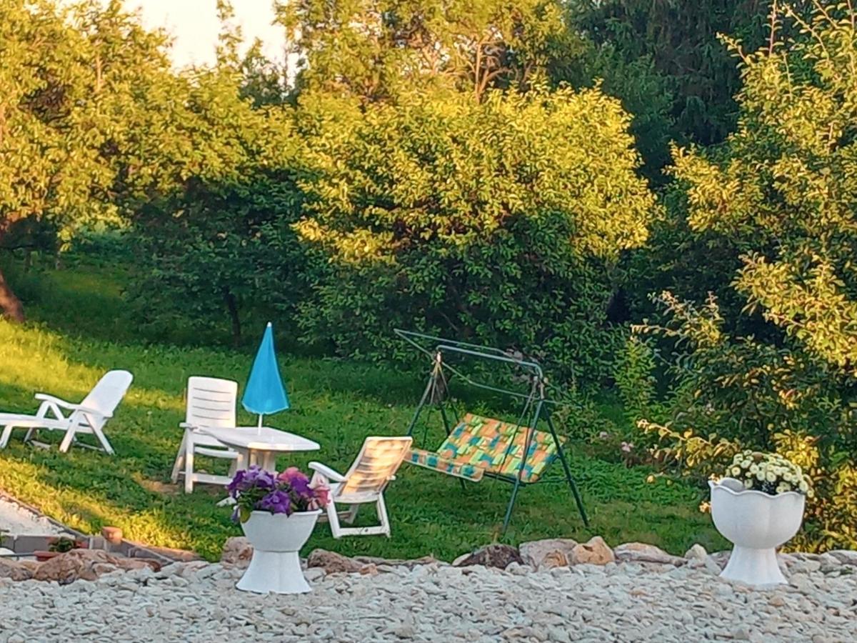 Tokaj Hill Panorama Guesthouse Szerencs Dış mekan fotoğraf