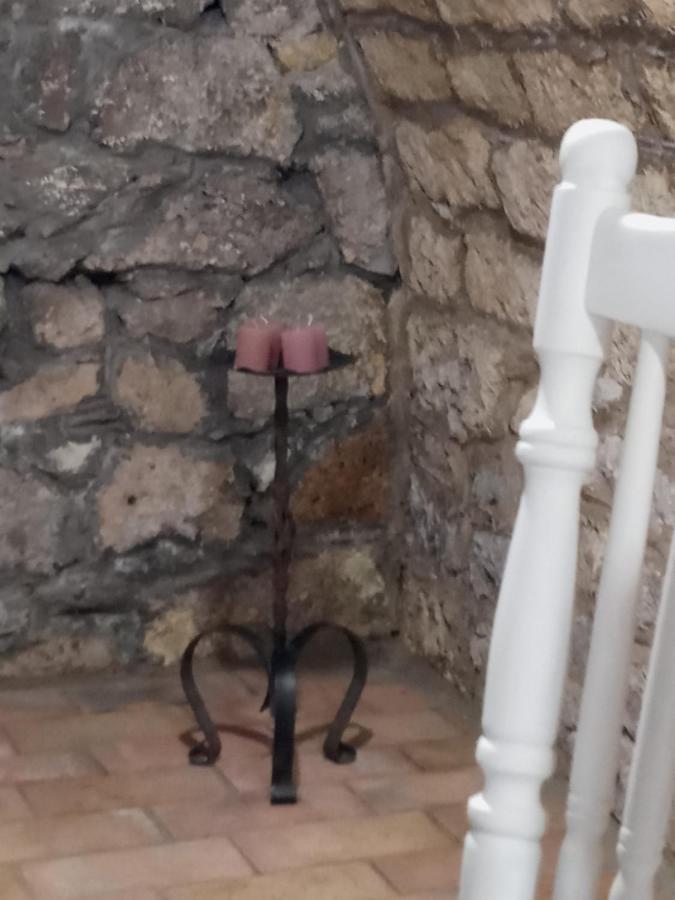 Tokaj Hill Panorama Guesthouse Szerencs Dış mekan fotoğraf