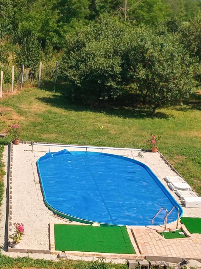 Tokaj Hill Panorama Guesthouse Szerencs Dış mekan fotoğraf