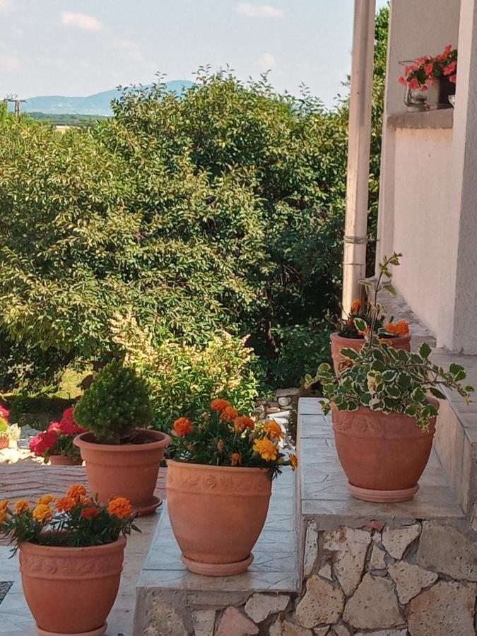 Tokaj Hill Panorama Guesthouse Szerencs Dış mekan fotoğraf
