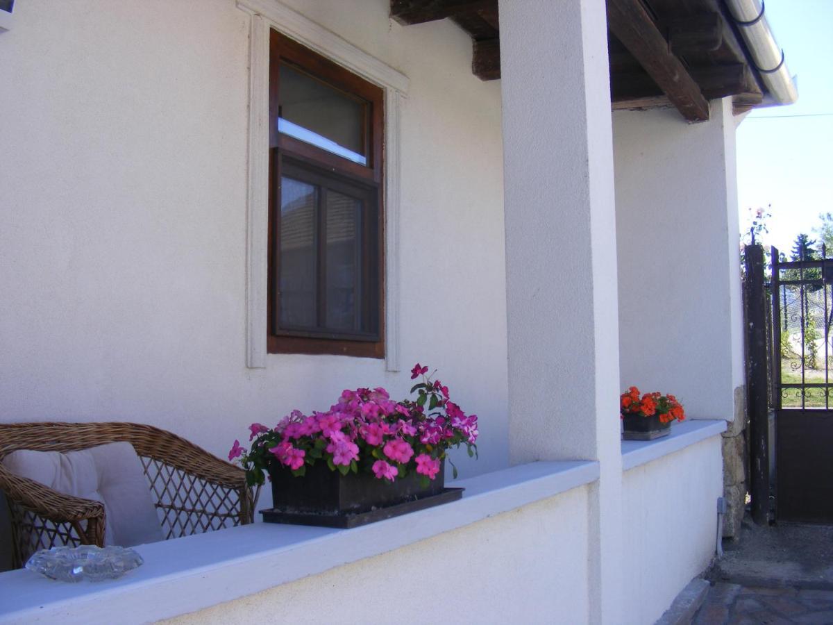 Tokaj Hill Panorama Guesthouse Szerencs Dış mekan fotoğraf