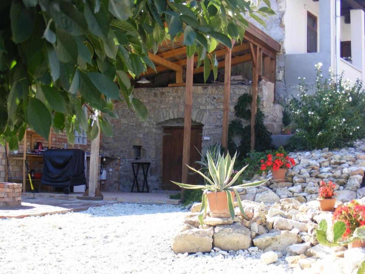 Tokaj Hill Panorama Guesthouse Szerencs Dış mekan fotoğraf