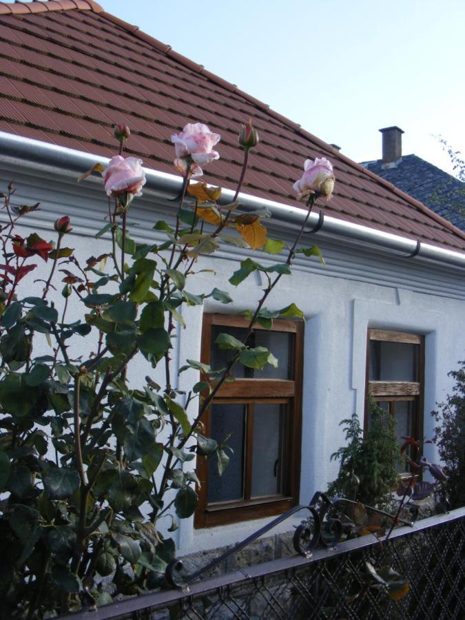 Tokaj Hill Panorama Guesthouse Szerencs Dış mekan fotoğraf