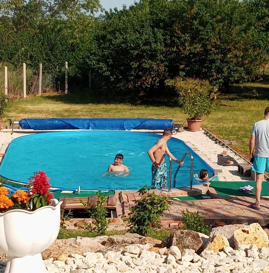 Tokaj Hill Panorama Guesthouse Szerencs Dış mekan fotoğraf