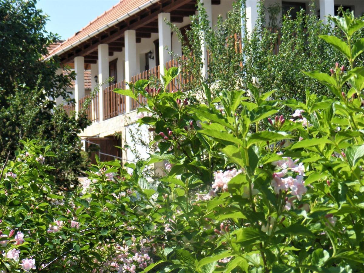 Tokaj Hill Panorama Guesthouse Szerencs Dış mekan fotoğraf