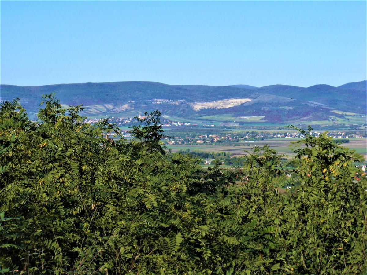 Tokaj Hill Panorama Guesthouse Szerencs Dış mekan fotoğraf