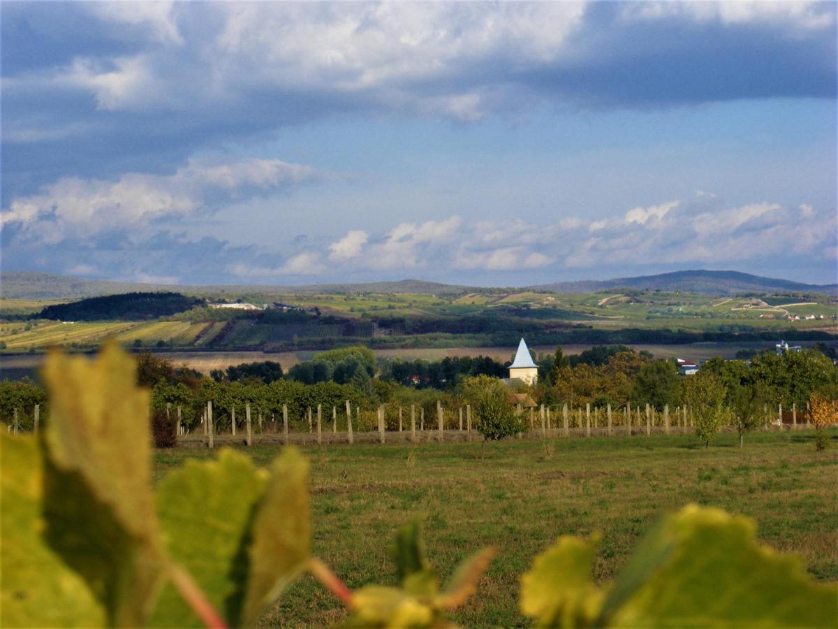 Tokaj Hill Panorama Guesthouse Szerencs Dış mekan fotoğraf