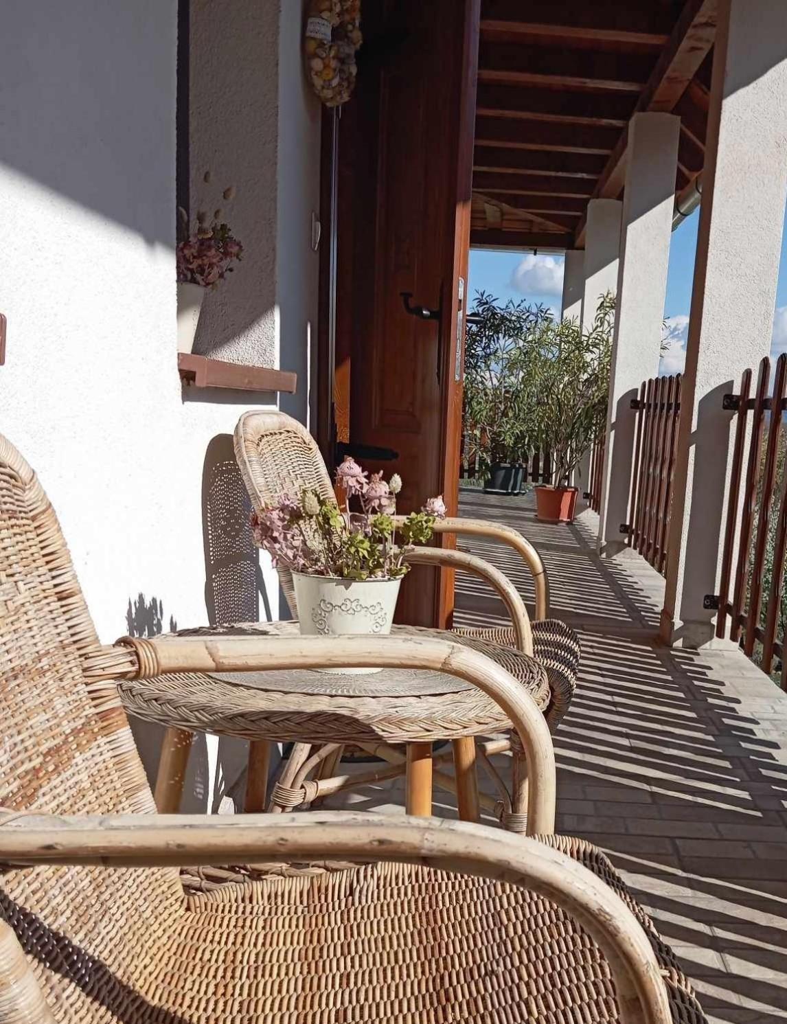 Tokaj Hill Panorama Guesthouse Szerencs Dış mekan fotoğraf