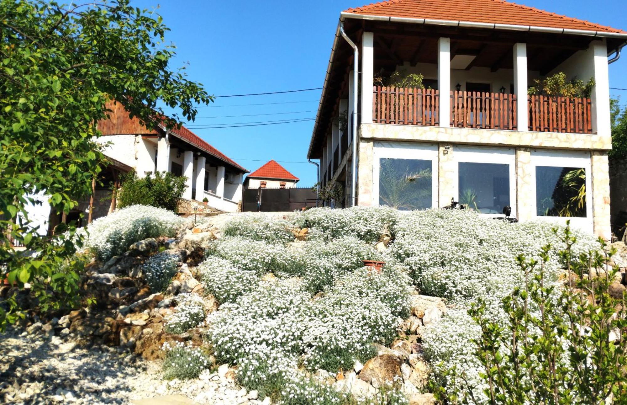 Tokaj Hill Panorama Guesthouse Szerencs Dış mekan fotoğraf